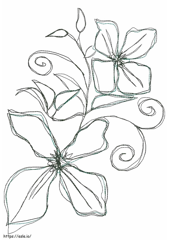 Clematis Botanical coloring page
