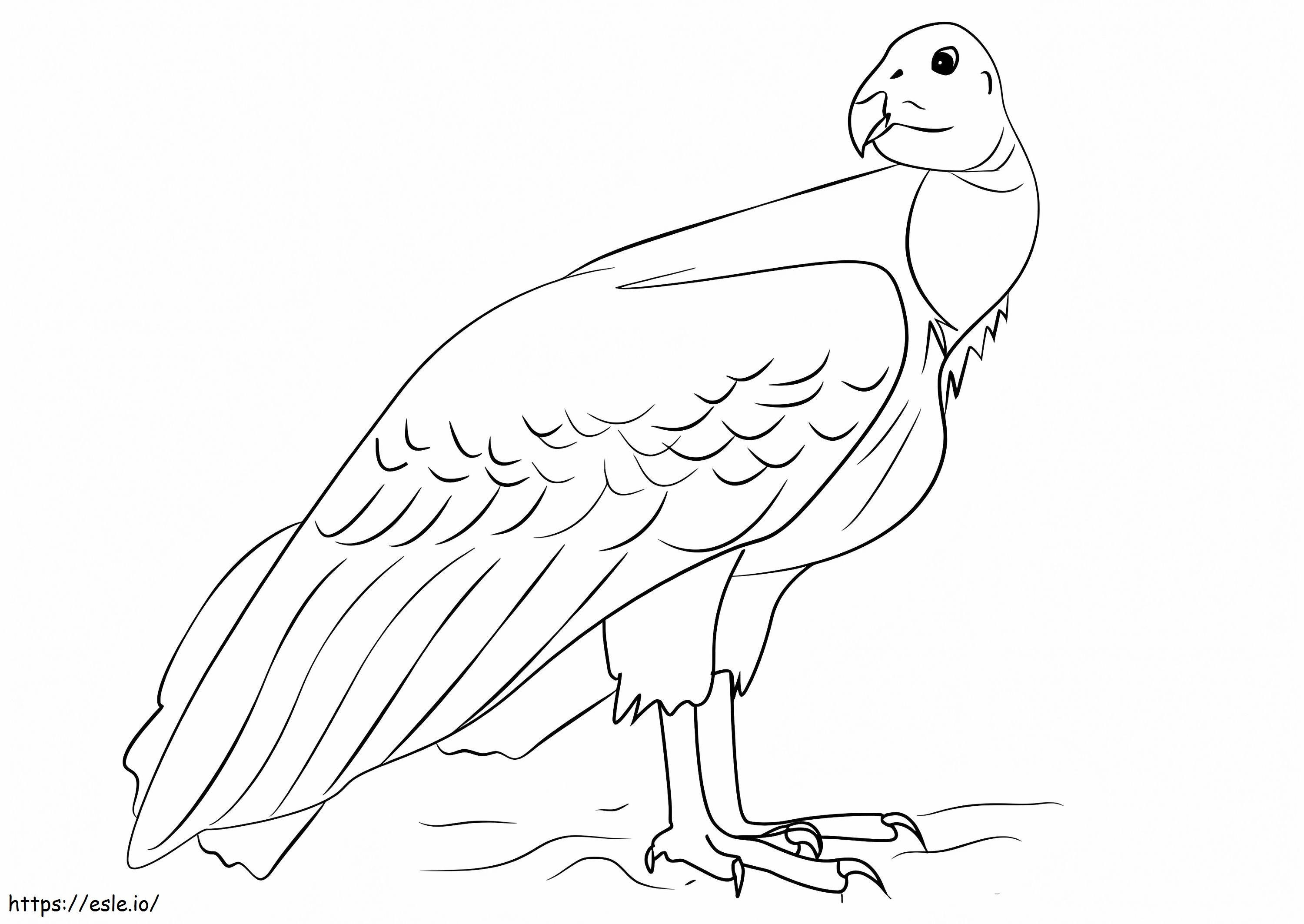 Amazing Condor coloring page