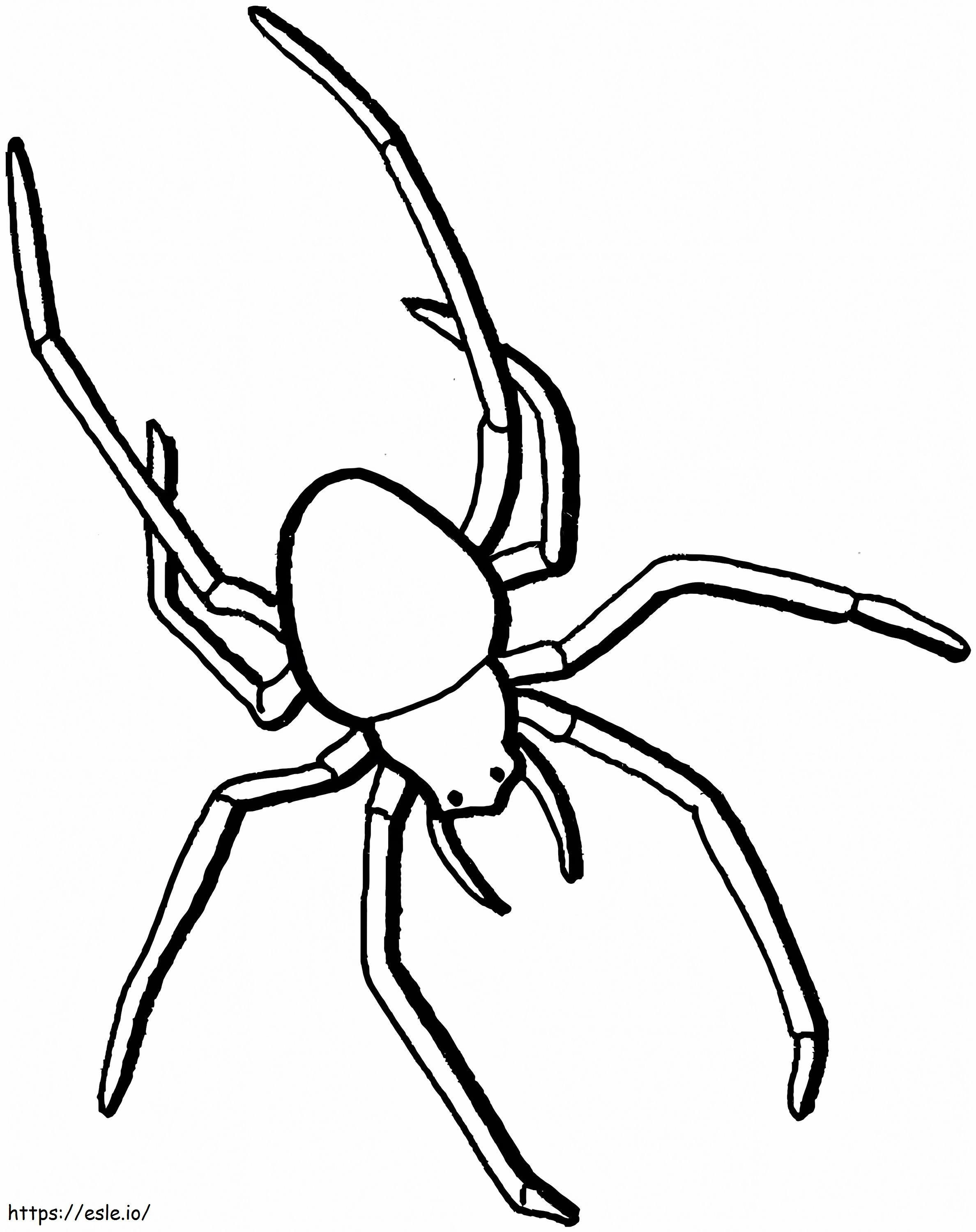 蜘蛛 ぬりえ - 塗り絵