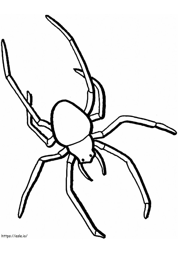Coloriage Une araignée à imprimer dessin