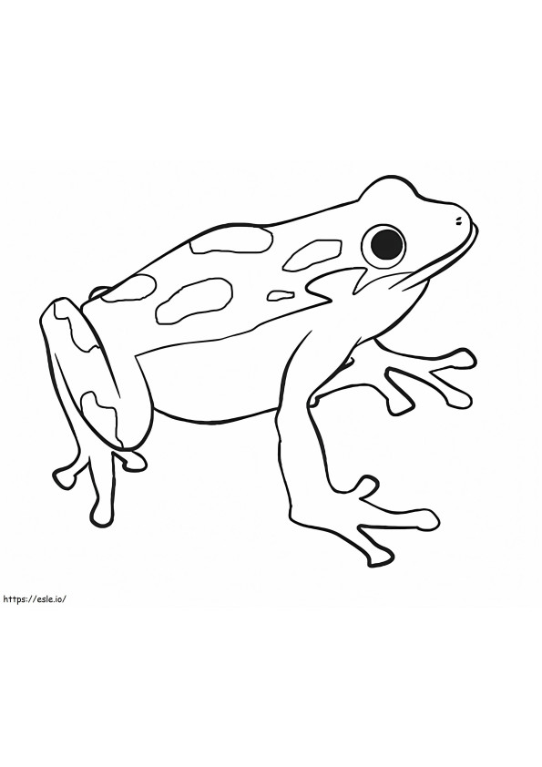 Coloriage Bonne grenouille à imprimer dessin