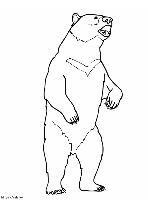 Black Bear Standing coloring page