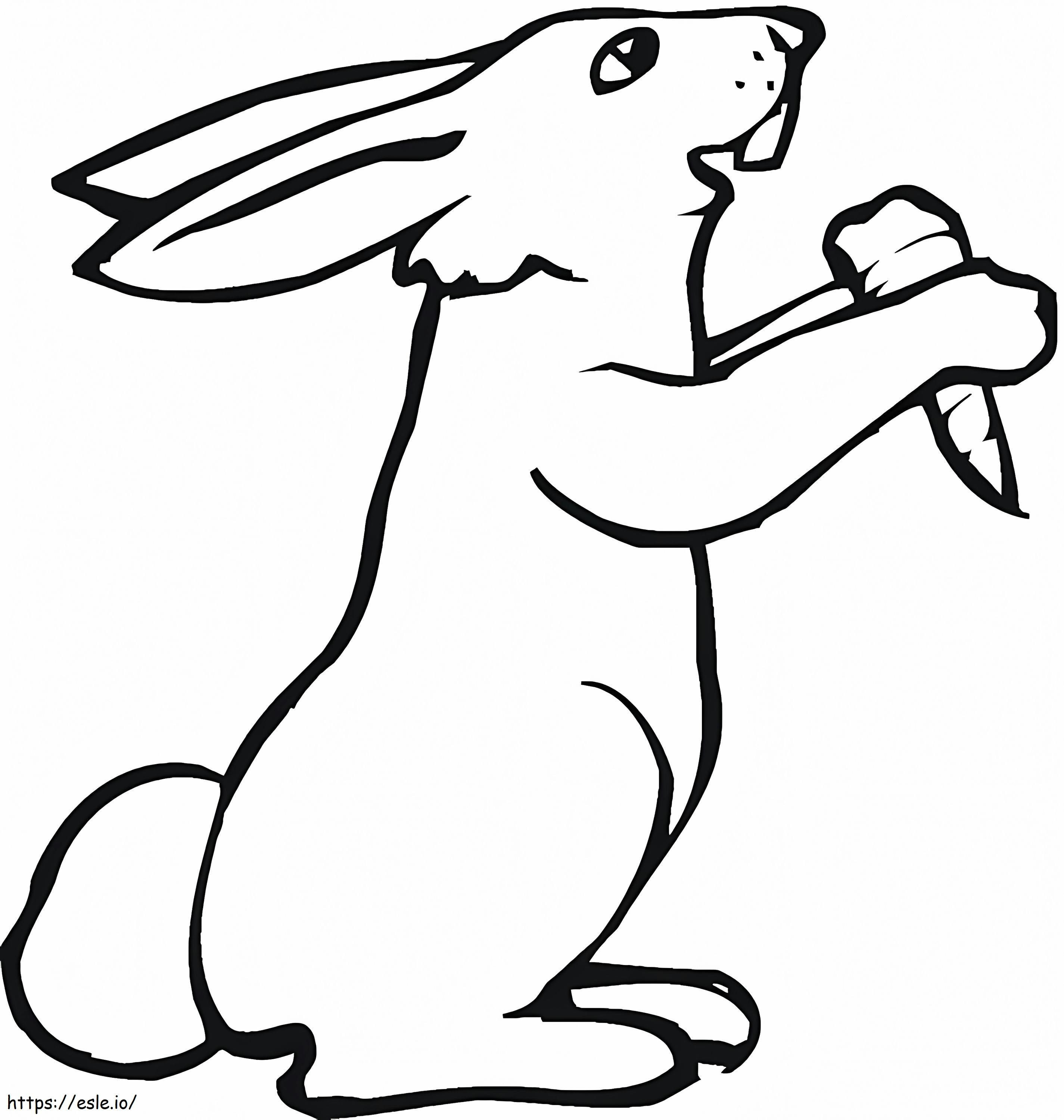 Rabbit With Carrot coloring page