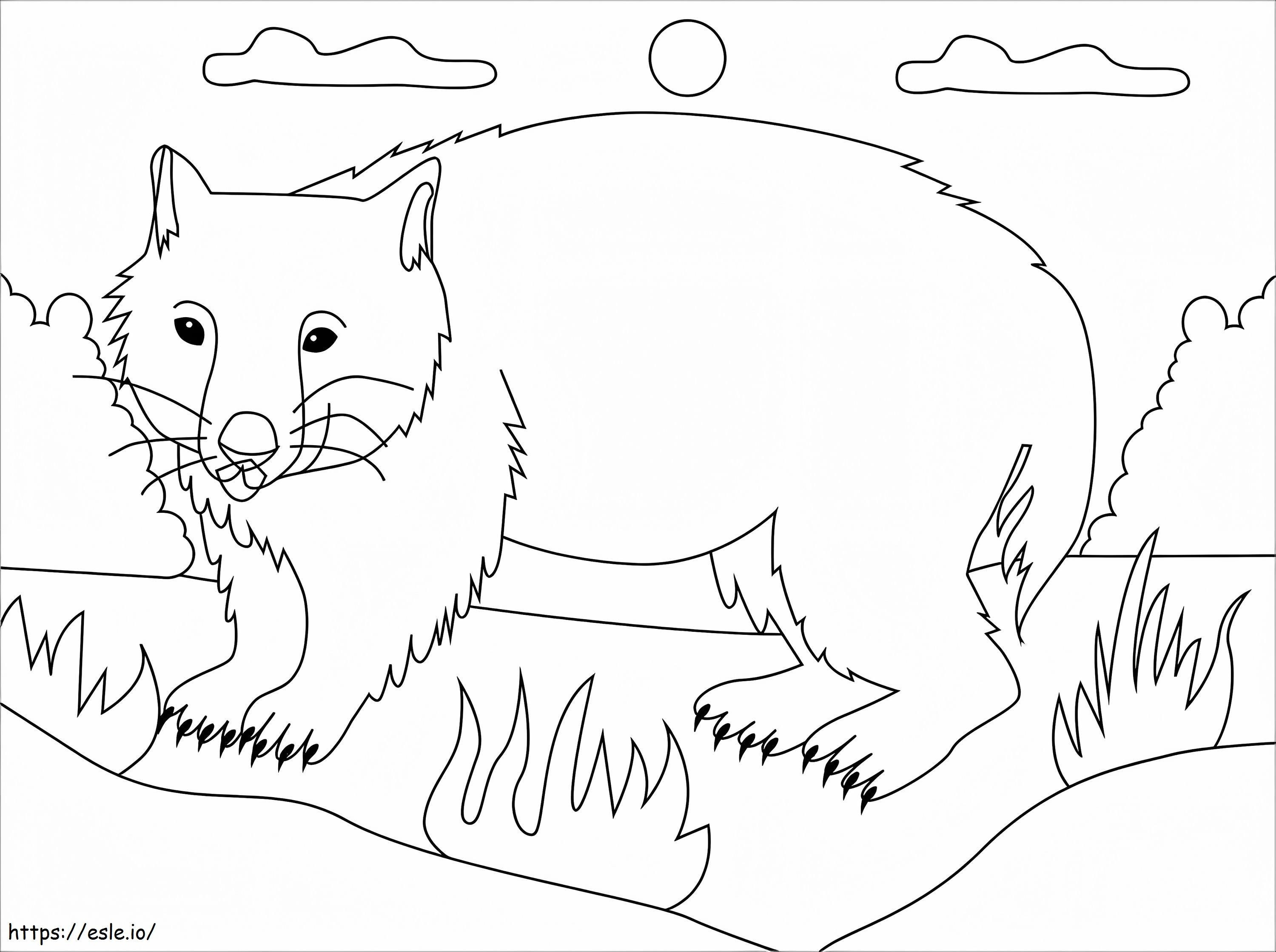 Yksinkertainen Wombat värityskuva