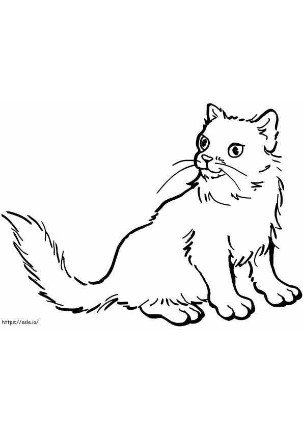 Coloriage Un chat normal à imprimer dessin
