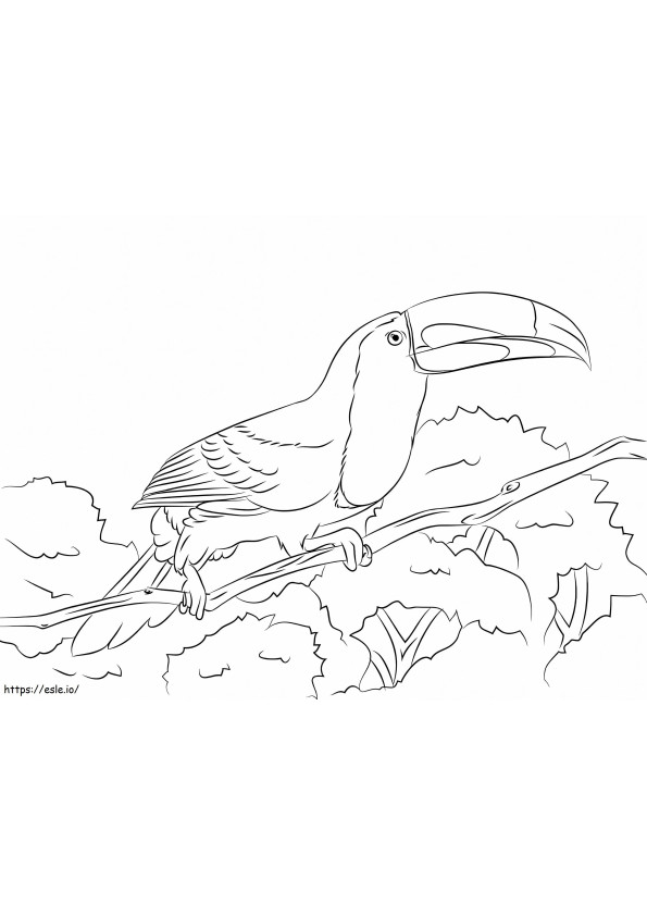 Perched Keel Billed Toucan coloring page