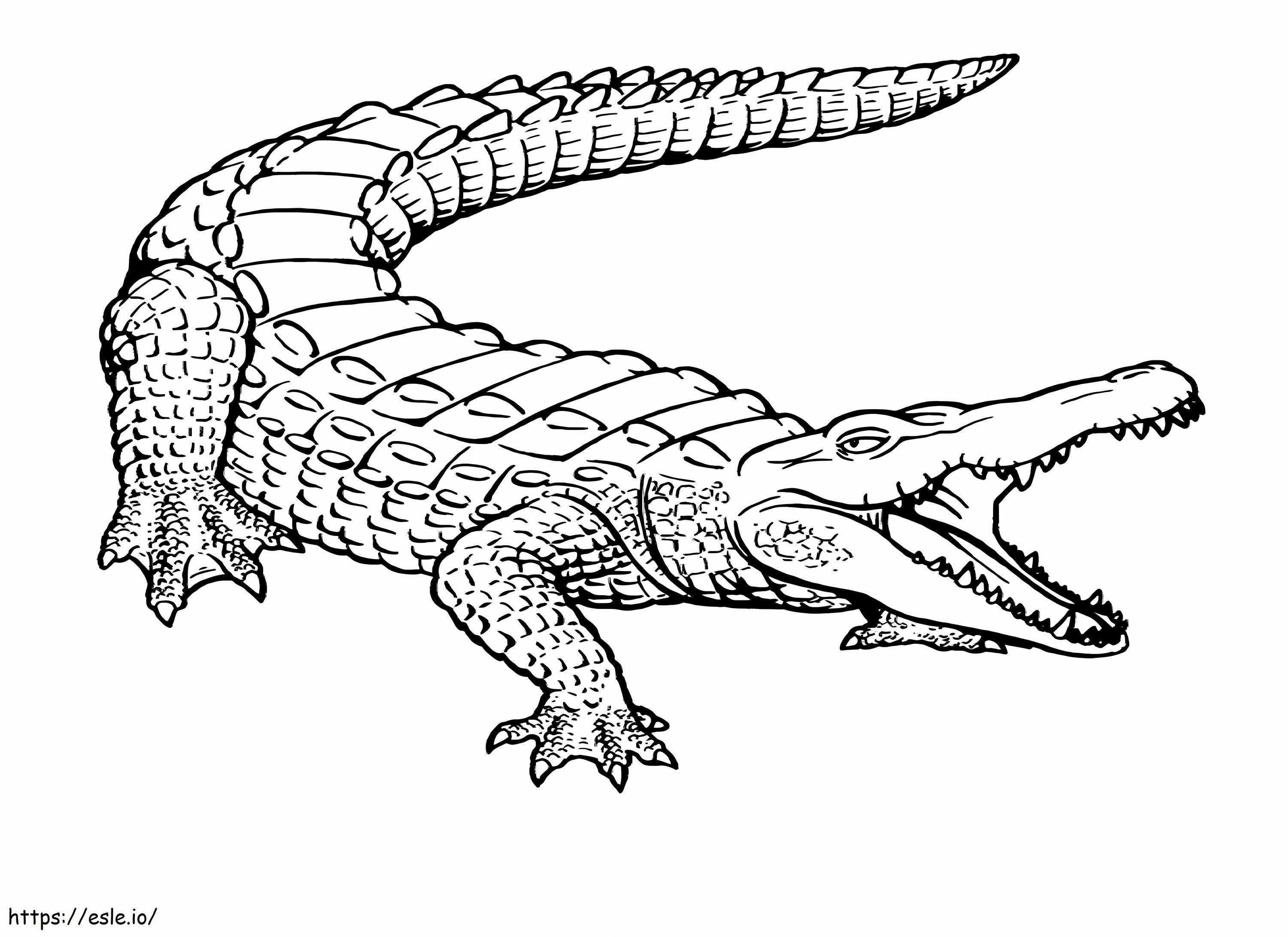 Coloriage Crocodile de base à l'échelle à imprimer dessin