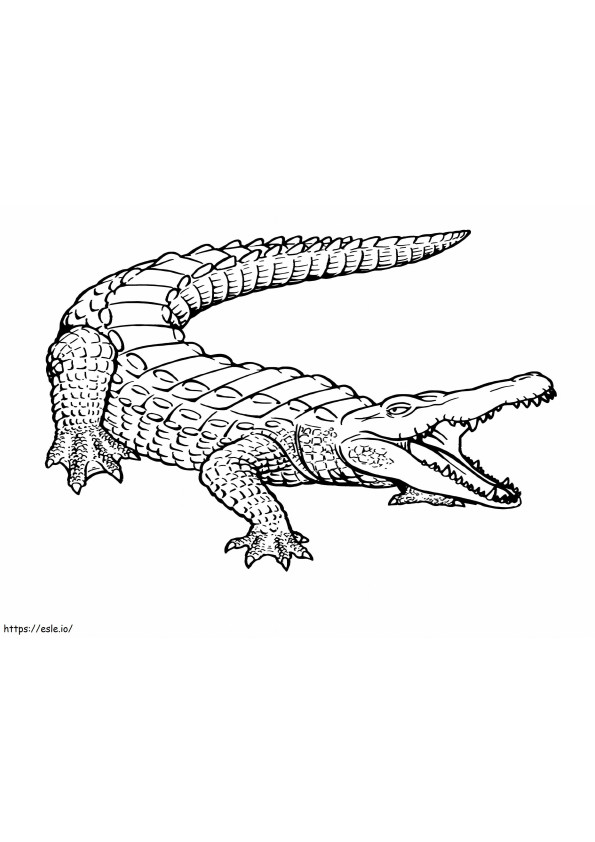 Coloriage Crocodile de base à l'échelle à imprimer dessin