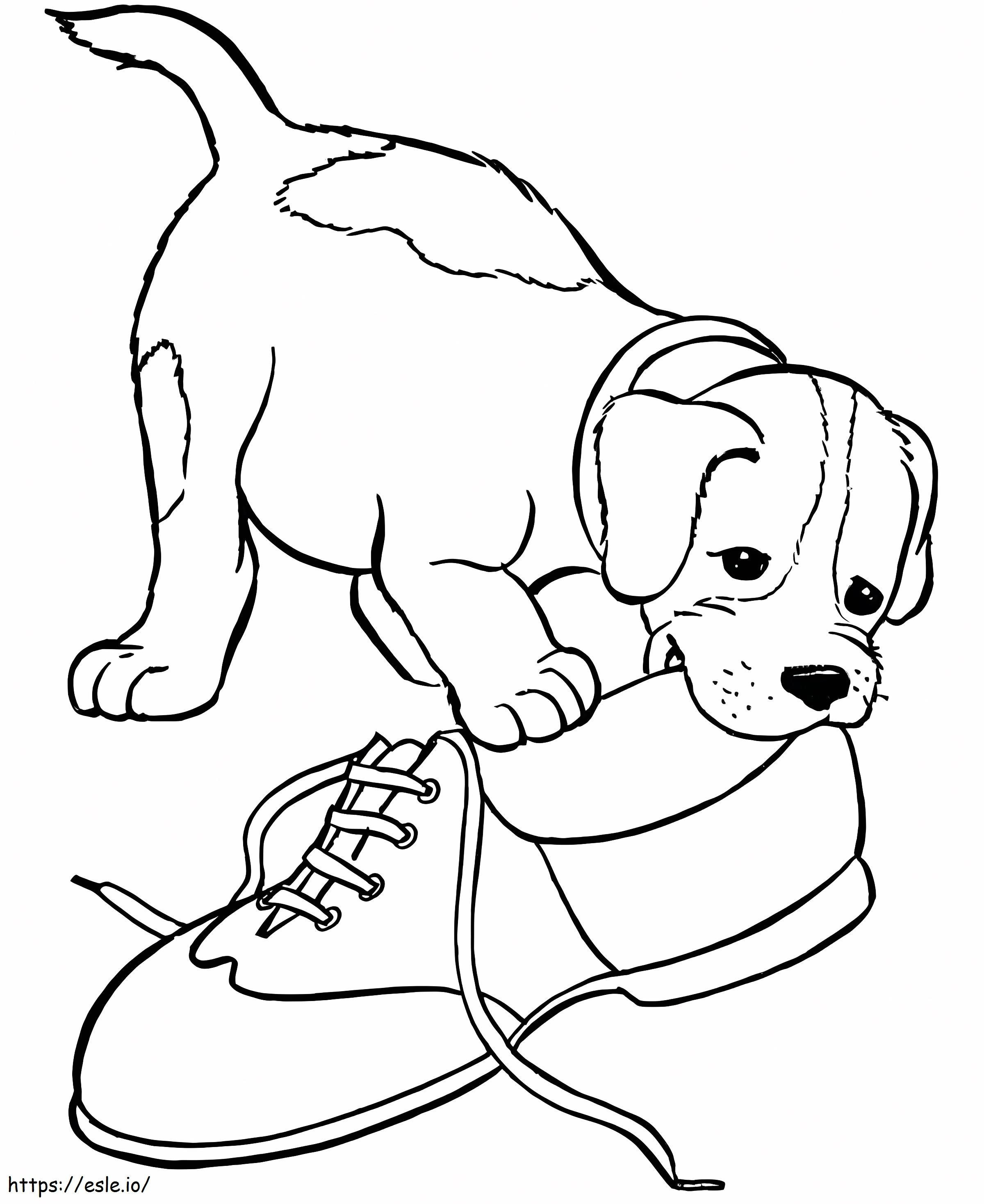 Beagle Chewing On Shoe coloring page