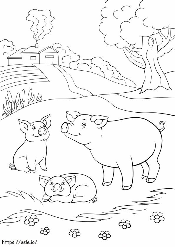 Tre maiali in fattoria da colorare