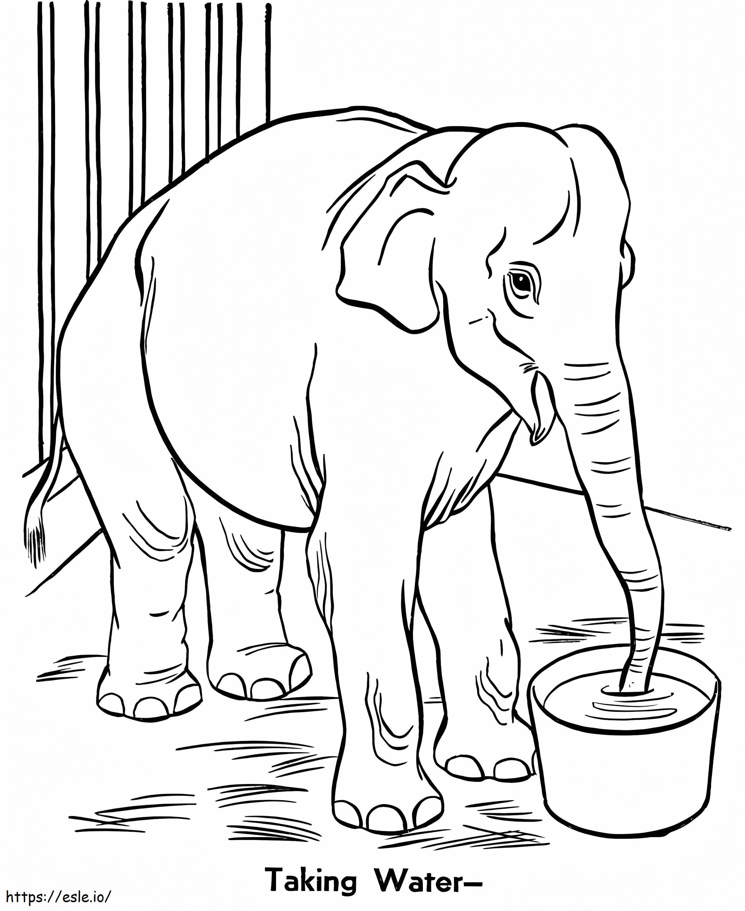 Coloriage Éléphant dans un zoo à imprimer dessin