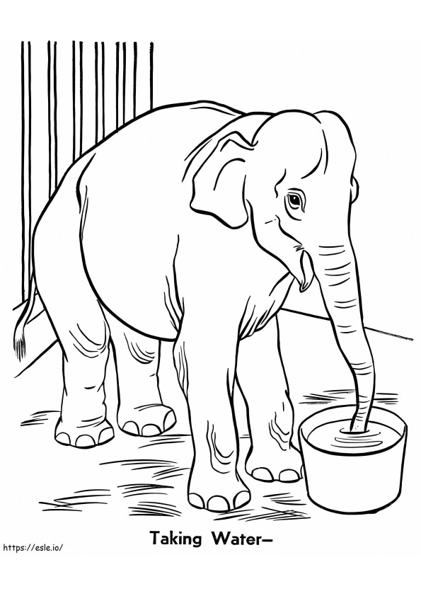 Elefantti Eläintarhassa värityskuva