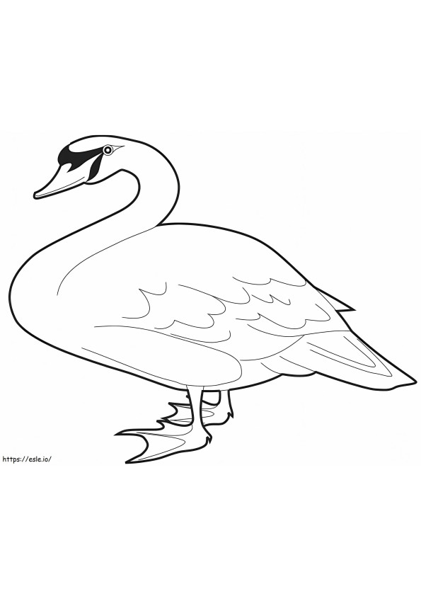A Mute Swan coloring page