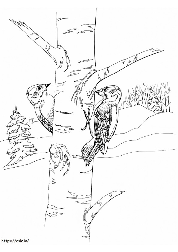 Two Woodpeckers coloring page