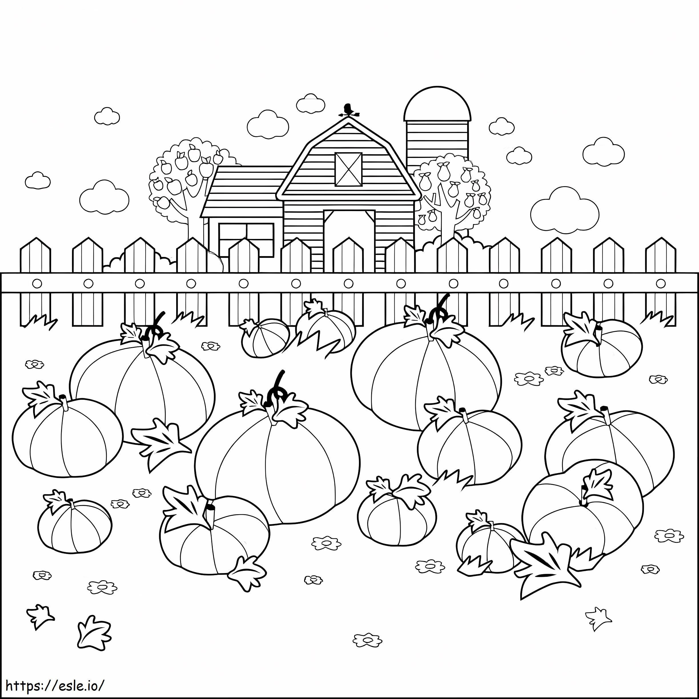 Pumpkin Farm coloring page