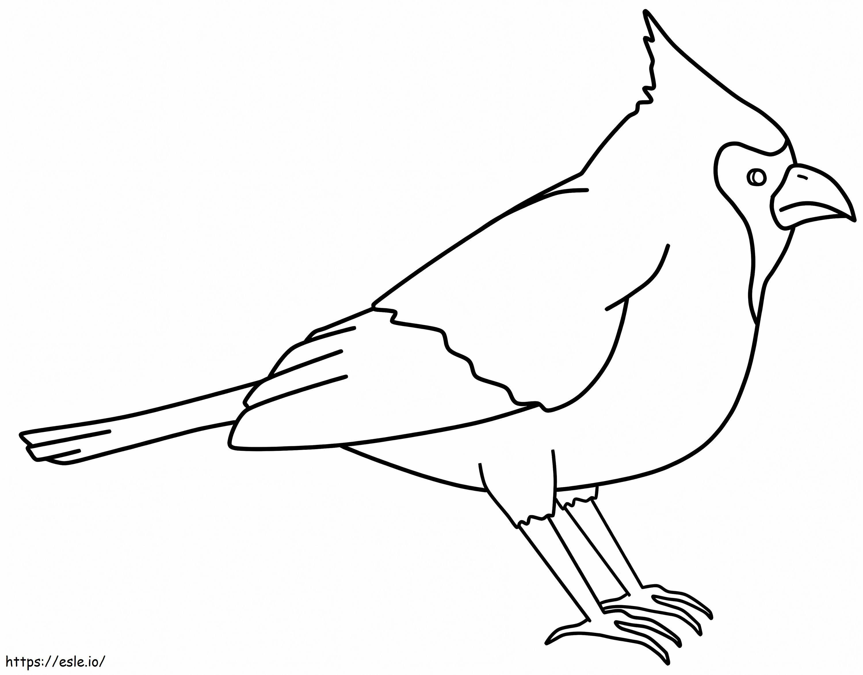 Easy Cardinal coloring page
