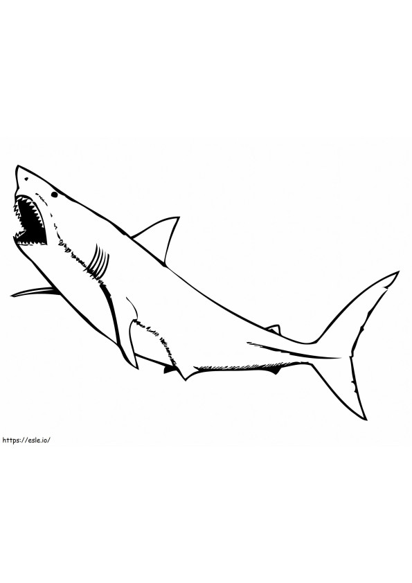 Grande squalo bianco da colorare