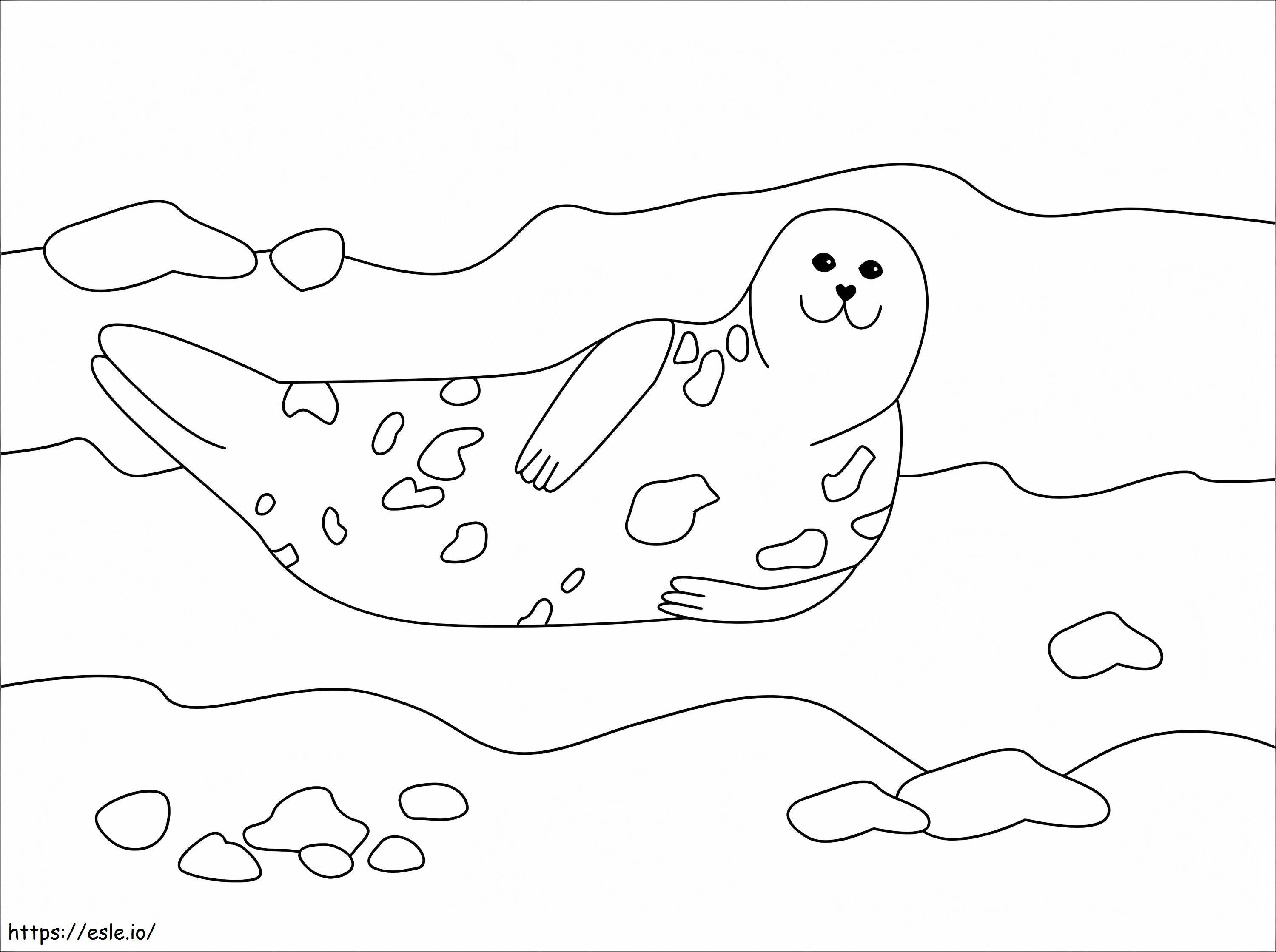 foca fofinha nadando para colorir