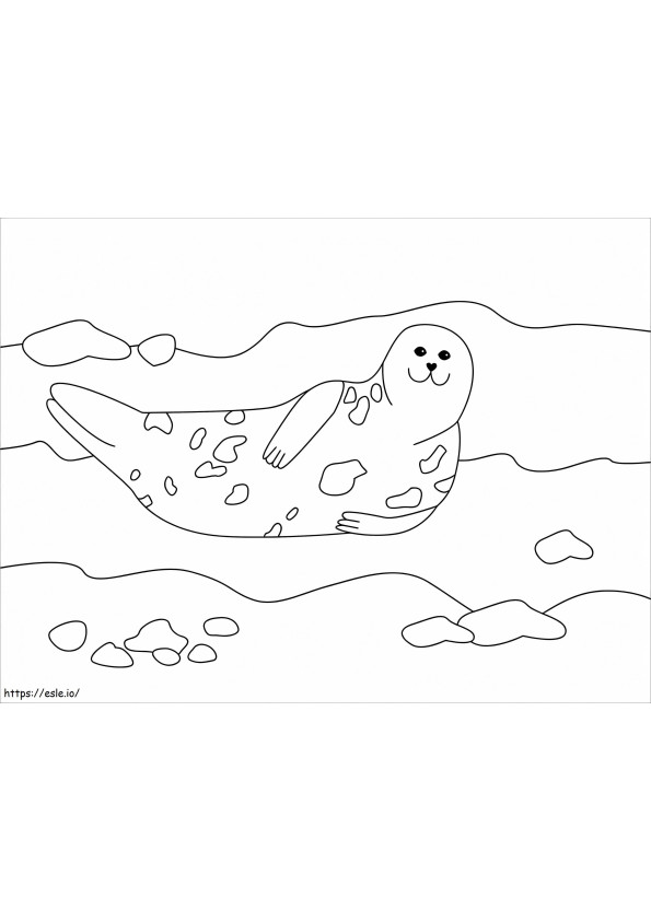 foca fofinha nadando para colorir