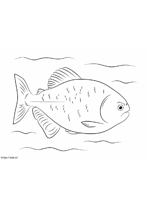 Easy Piranha coloring page