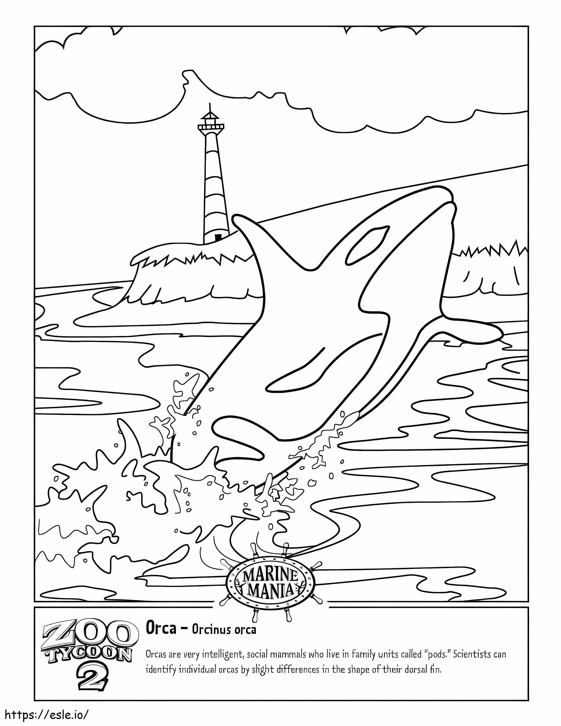 Printable Orca coloring page