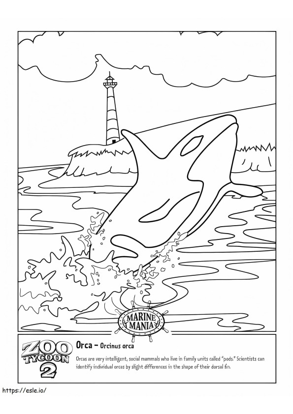 Orca imprimível para colorir