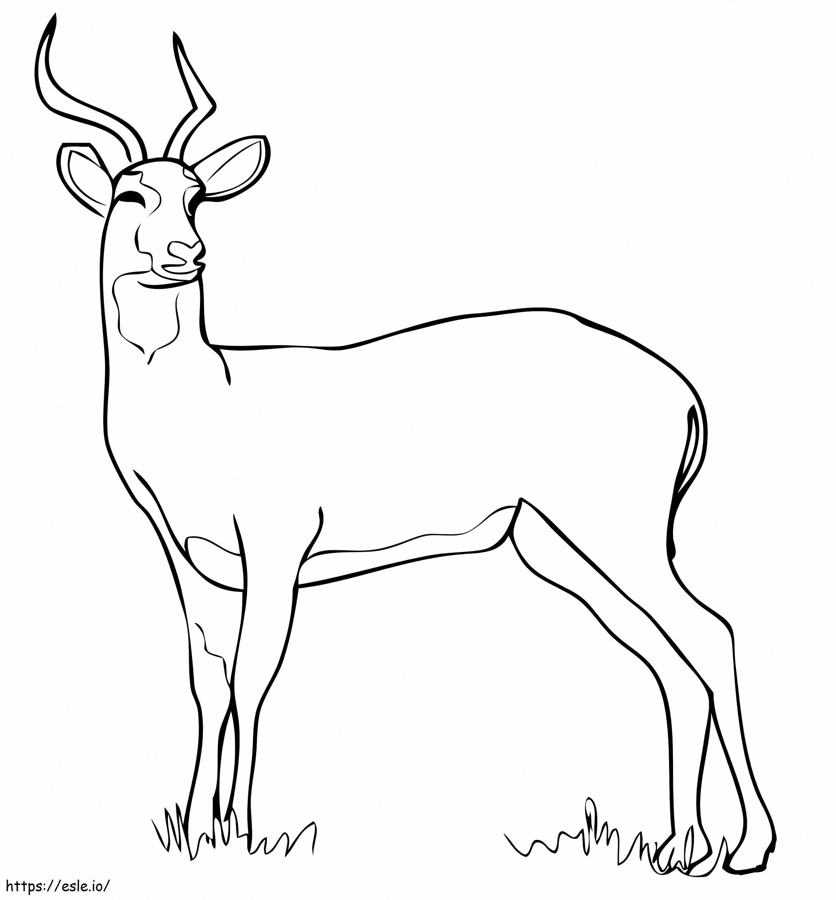 Coloriage Antilope Kob de l'Ouganda à imprimer dessin