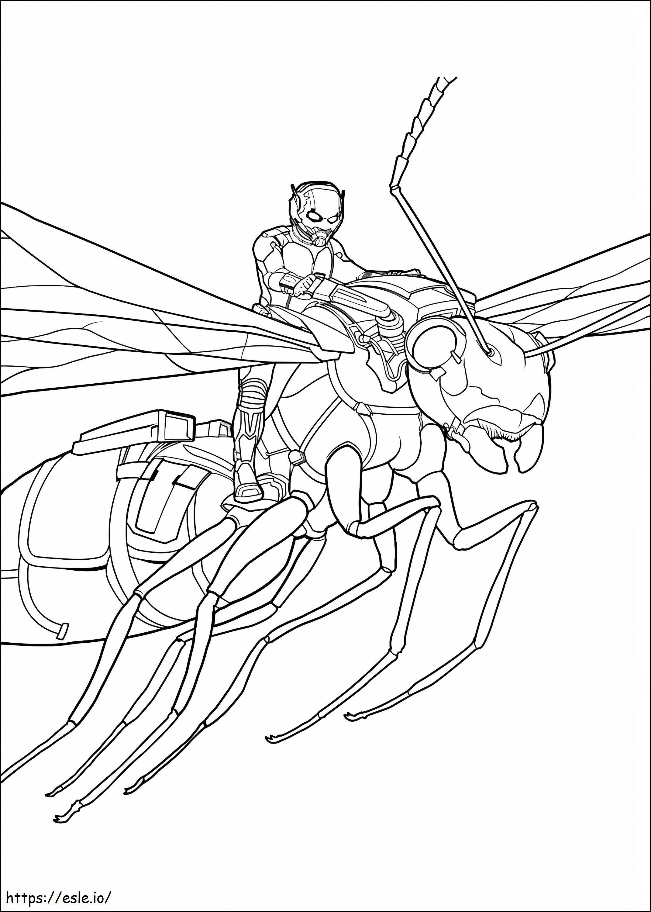  Ant Man On Flying Ant A4 para colorir