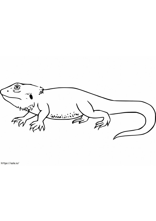 Crazy Bearded Dragon coloring page