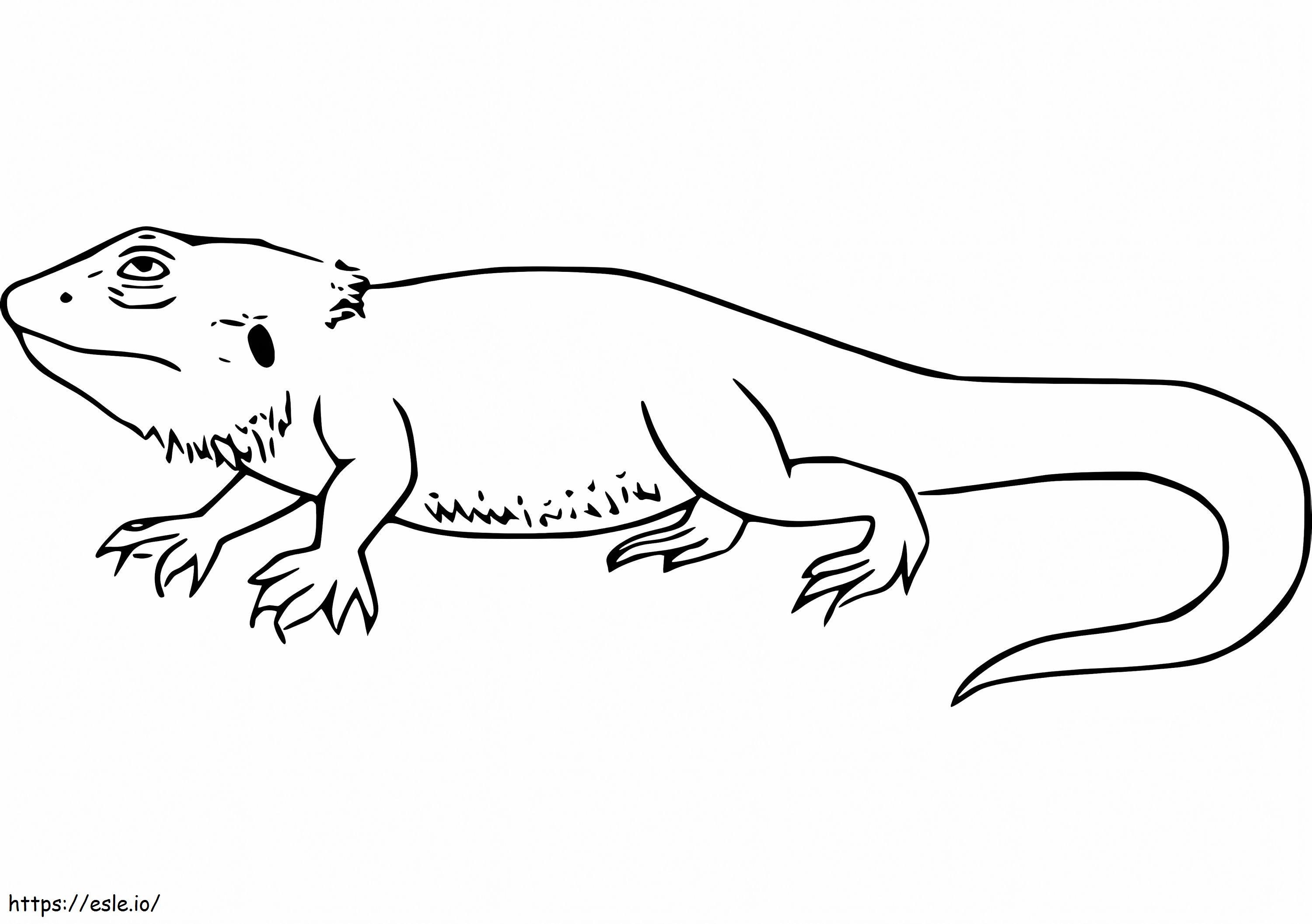 bearded dragon coloring pages