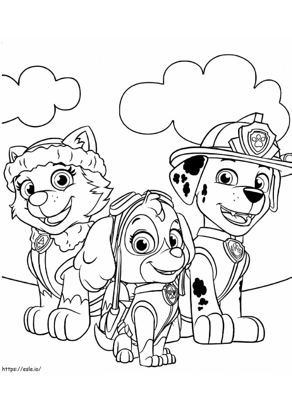 Everest Skye And Marshall In Paw Patrol coloring page