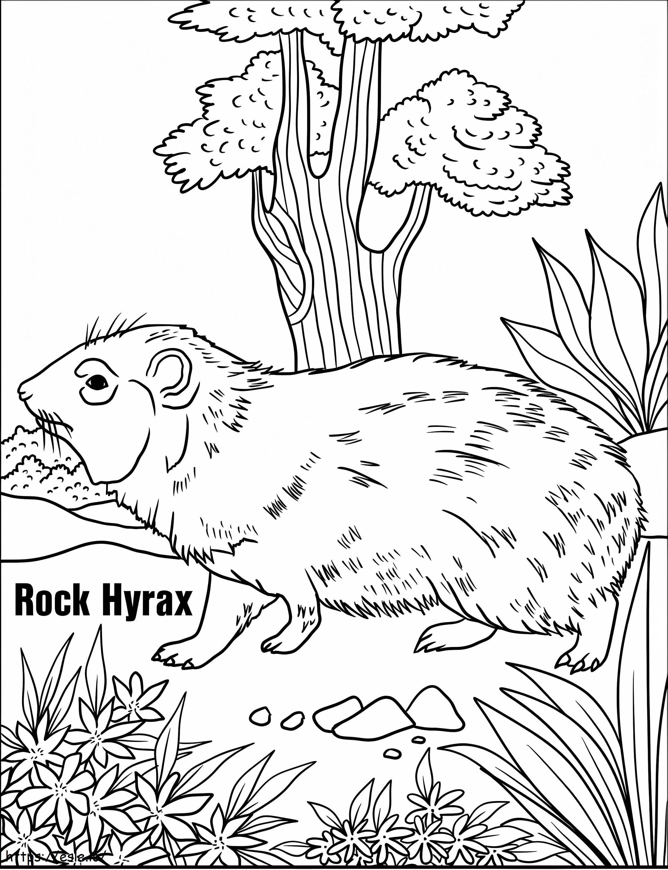 Rock Hyrax no chão para colorir