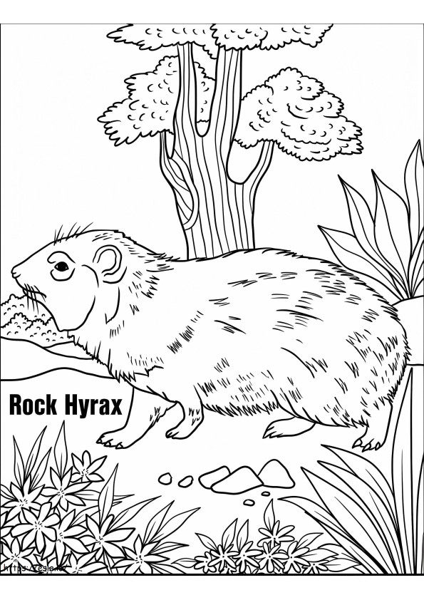 Hyrax de roca en el suelo para colorear