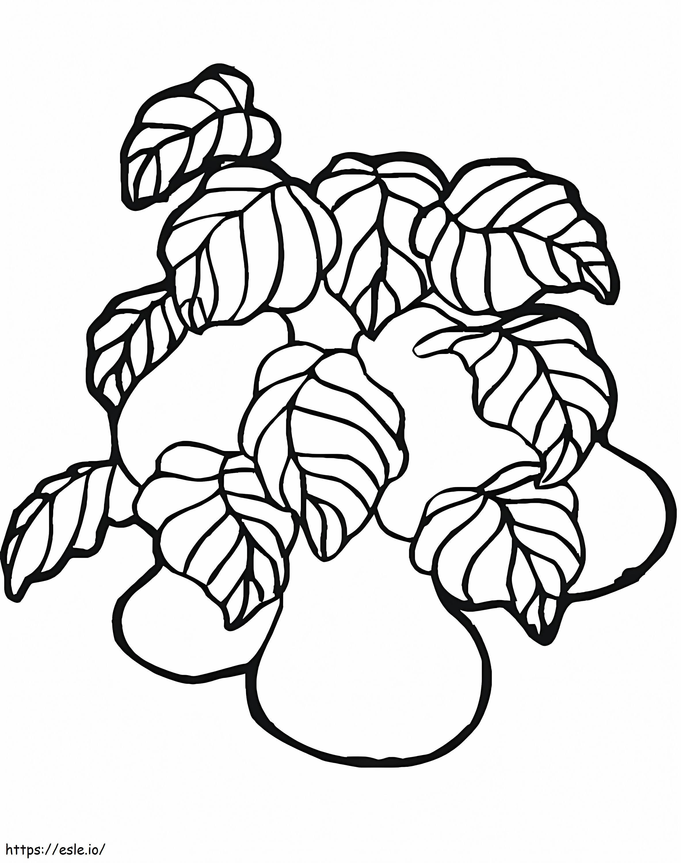 Pears Fruits coloring page