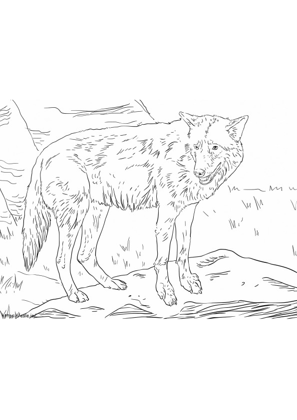 Eastern Wolf 1024X761 coloring page