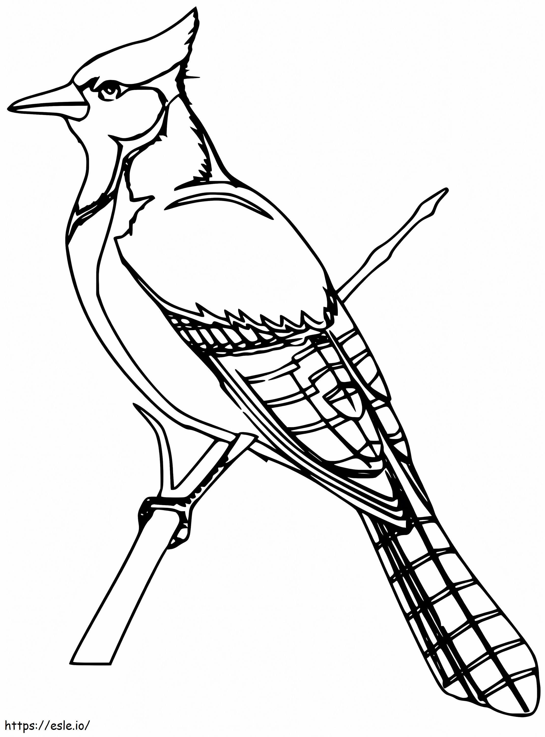 Blue Jay 6 coloring page