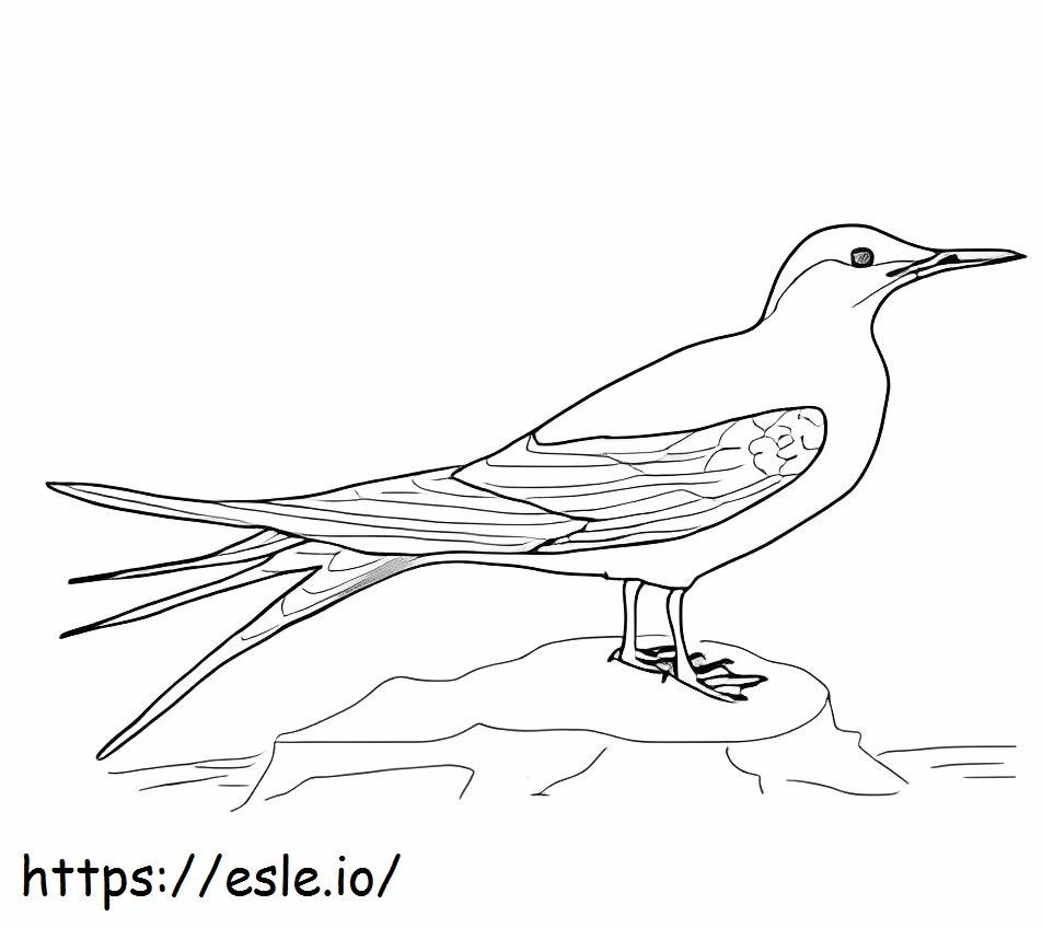 Canary Bird 1 coloring page