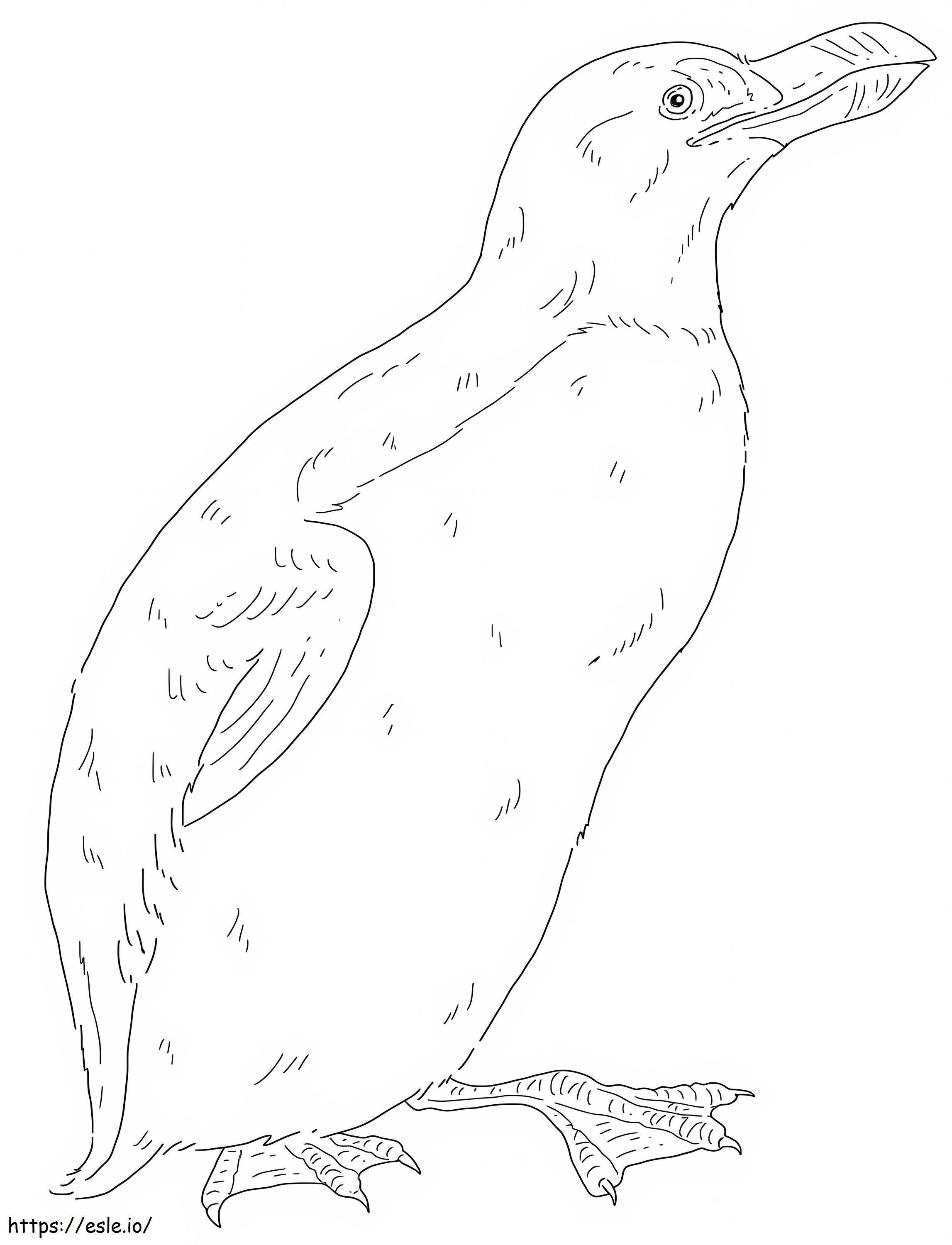 Coloriage Pingouin imprimable à imprimer dessin