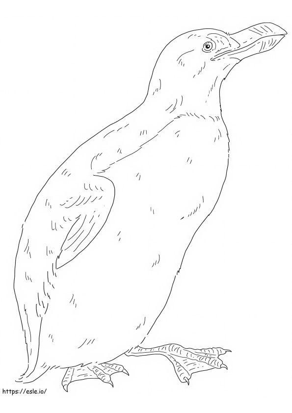 Coloriage Pingouin imprimable à imprimer dessin