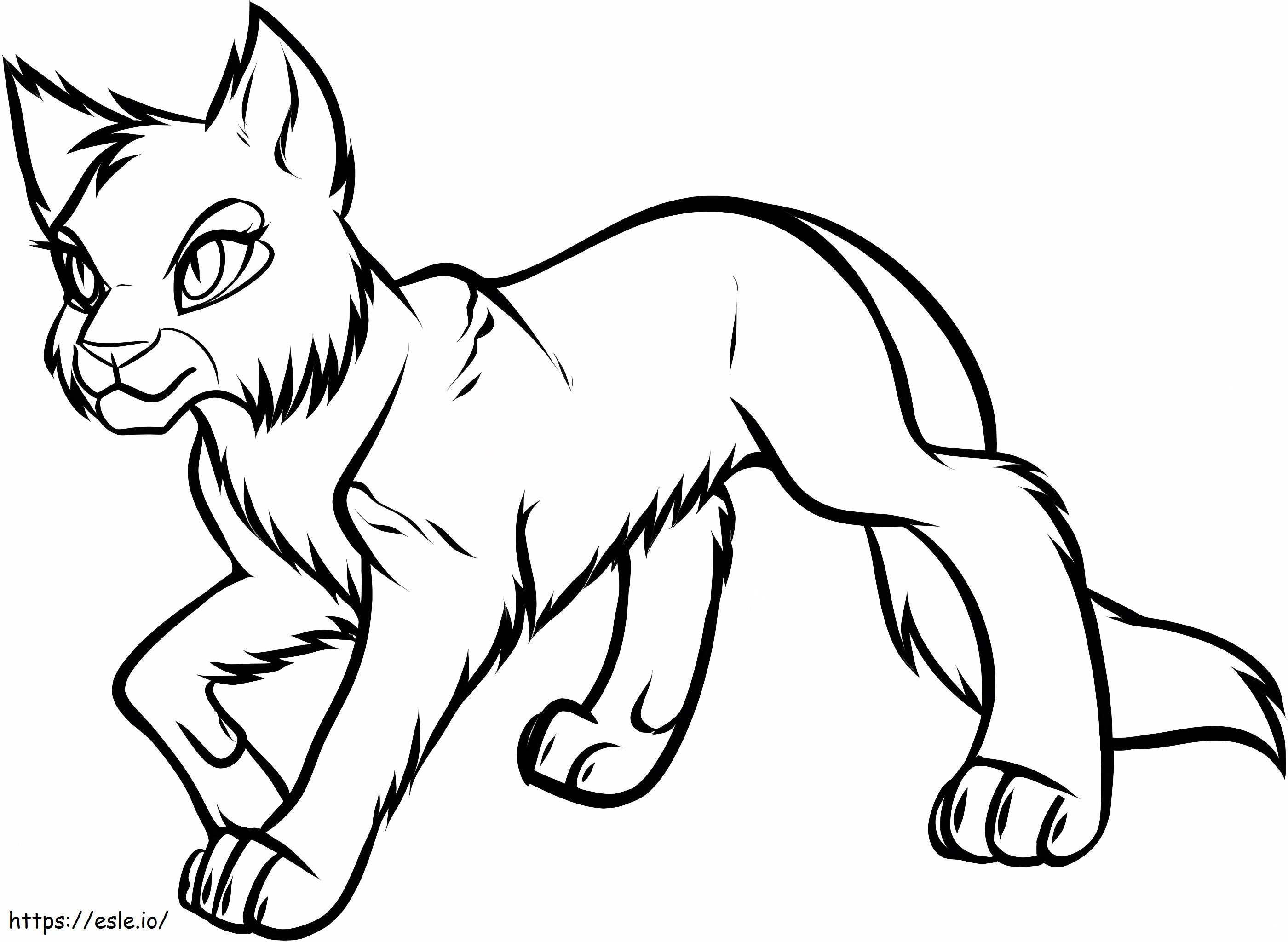 Podstawowy rysunek kota wojownika kolorowanka