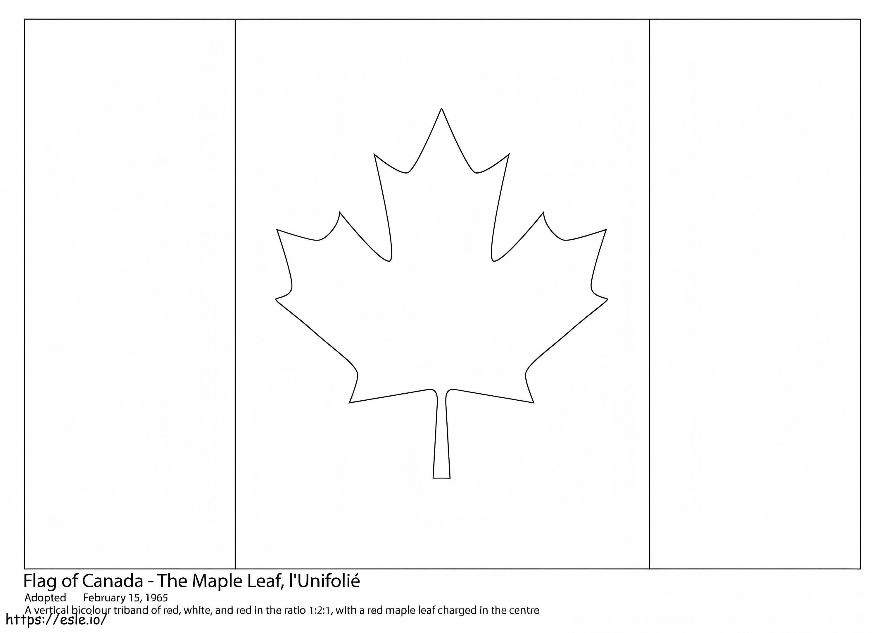 Flaga Kanady kolorowanka