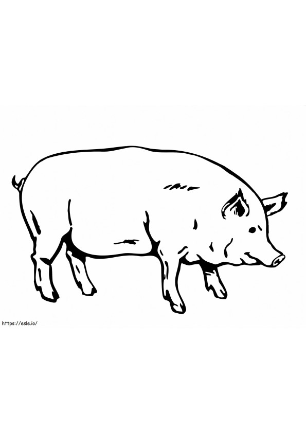 Coloriage Gros porc à imprimer dessin