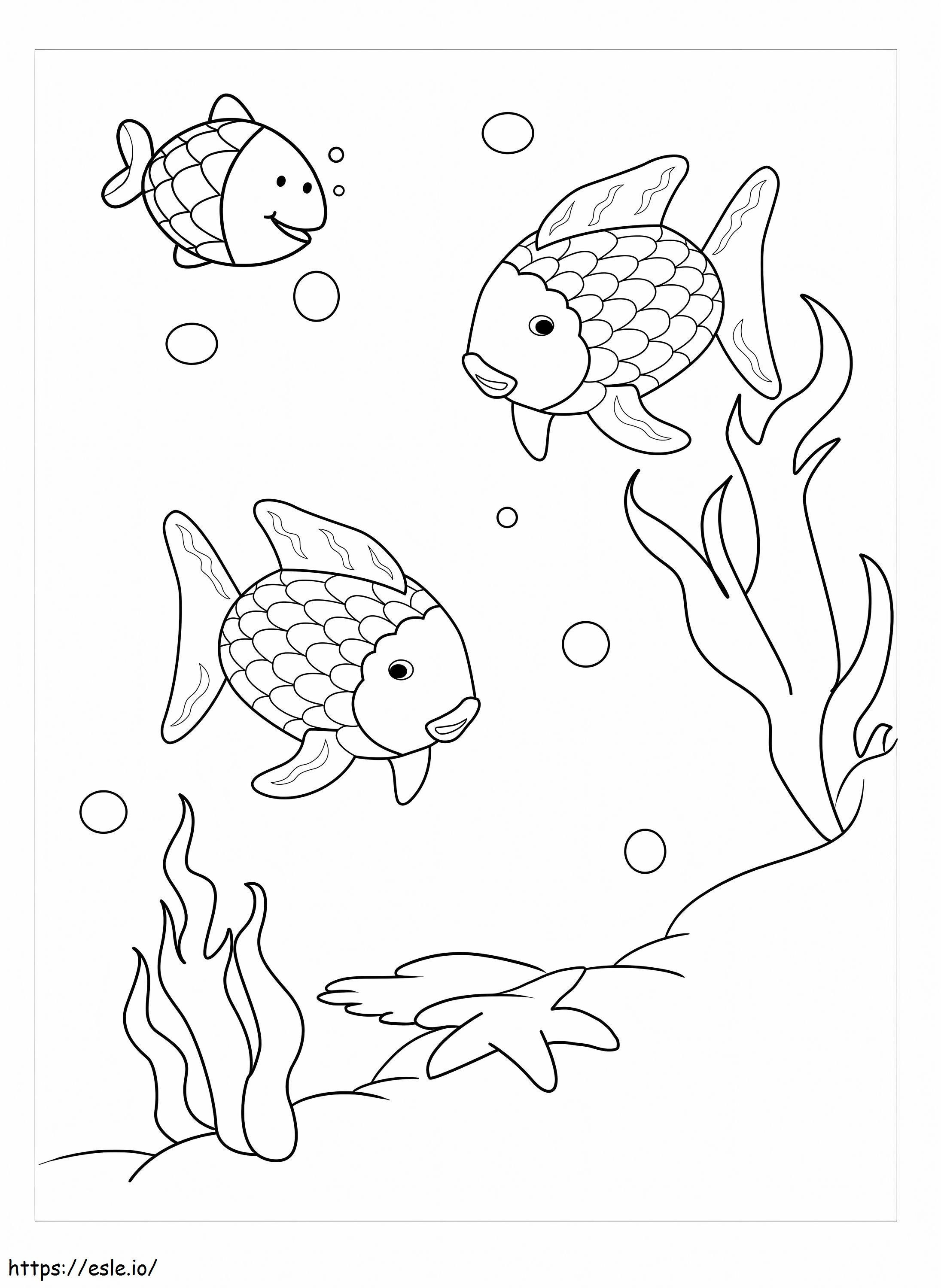 Három szivárványhal kifestő