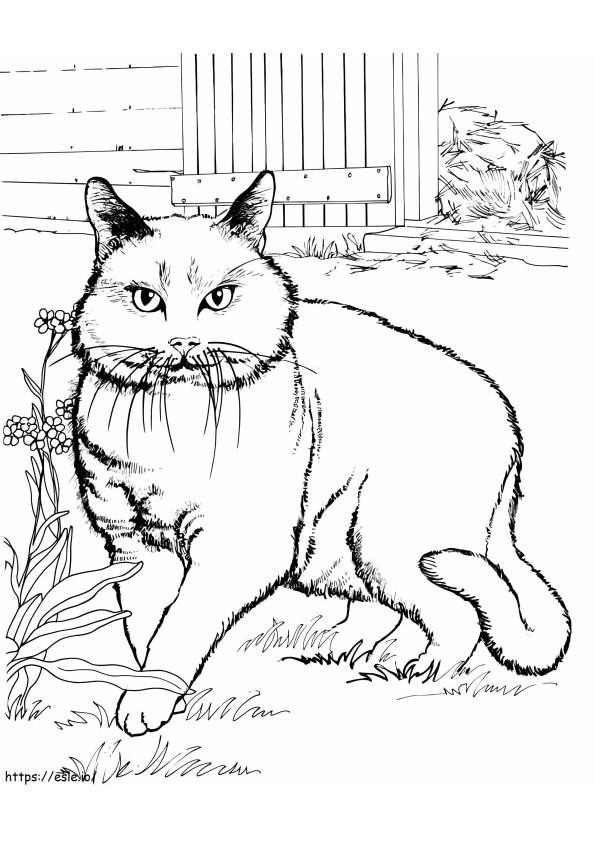 Şişman bir kedi boyama