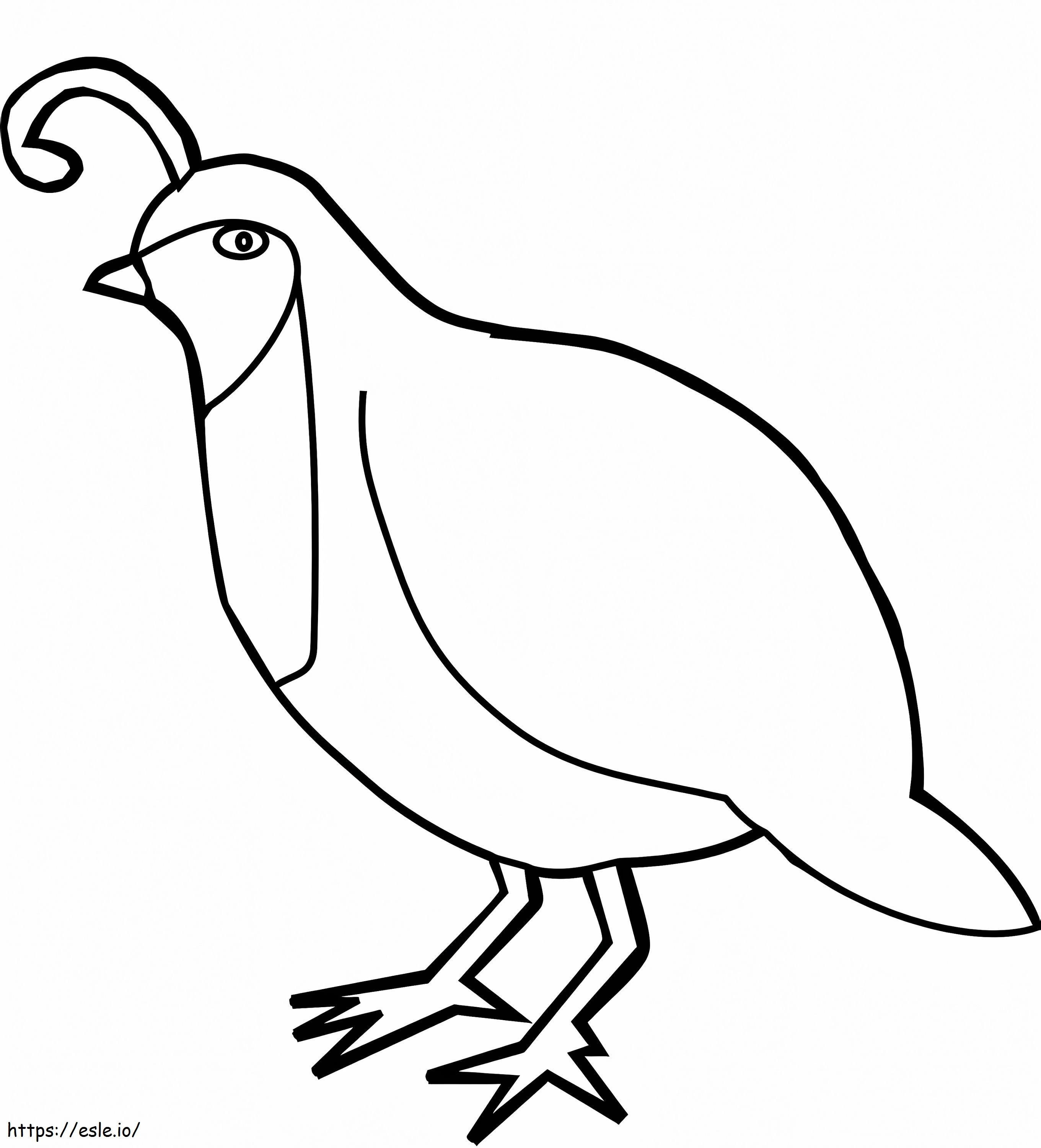 Wachtel-Bodenvogel ausmalbilder