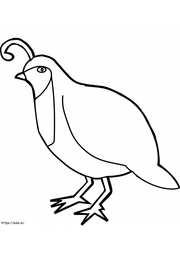 Coloriage Caille Oiseau vivant au sol à imprimer dessin