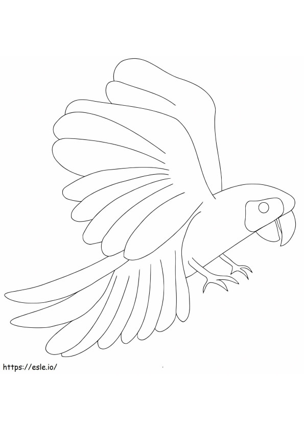 White Macaw coloring page