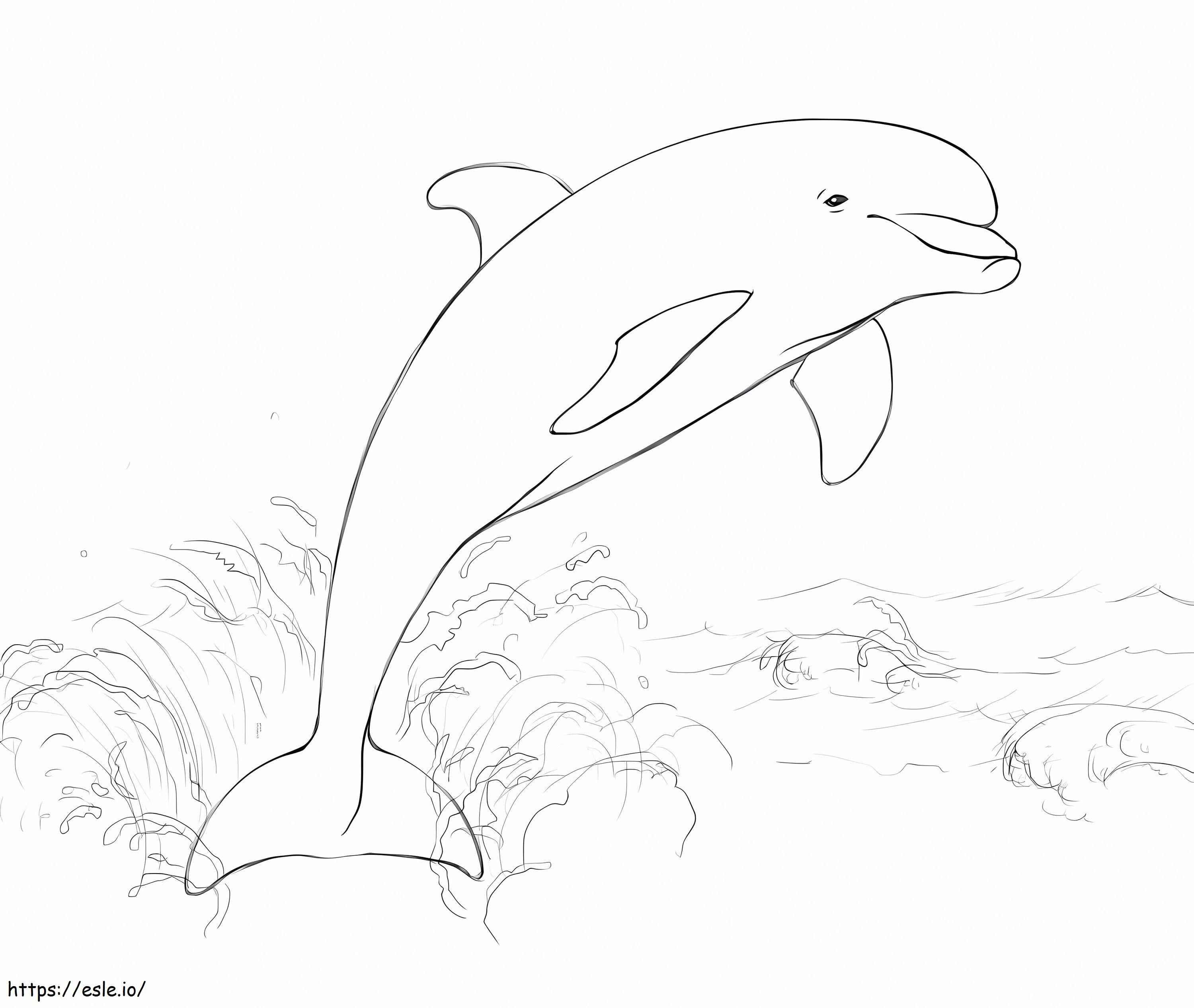 Golfinho pulando da água para colorir