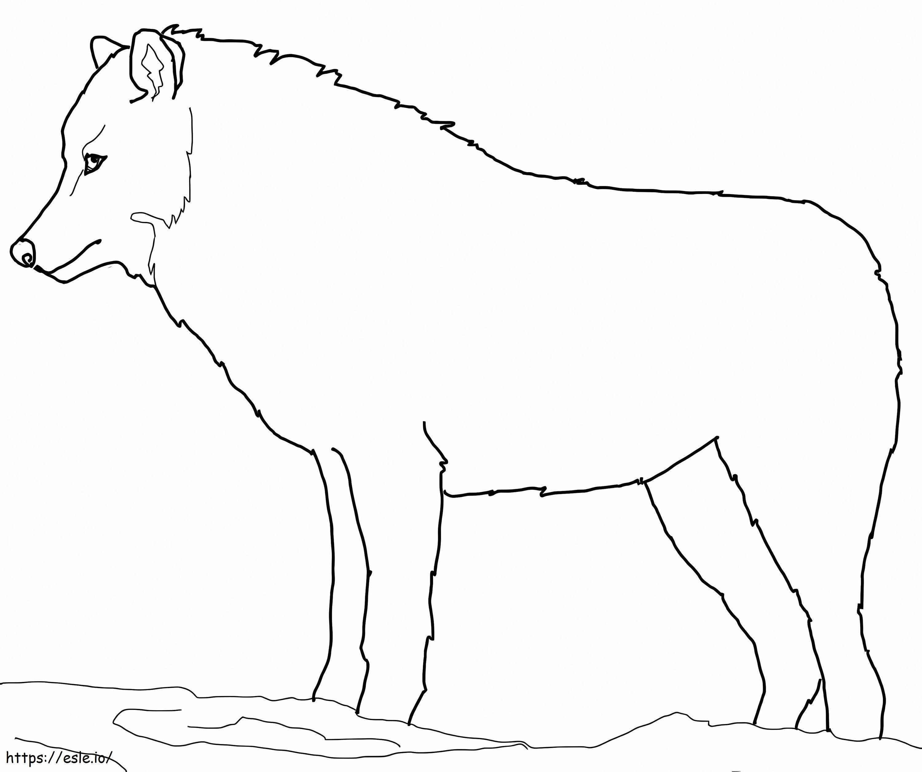 Coloriage Loup arctique 1 à imprimer dessin