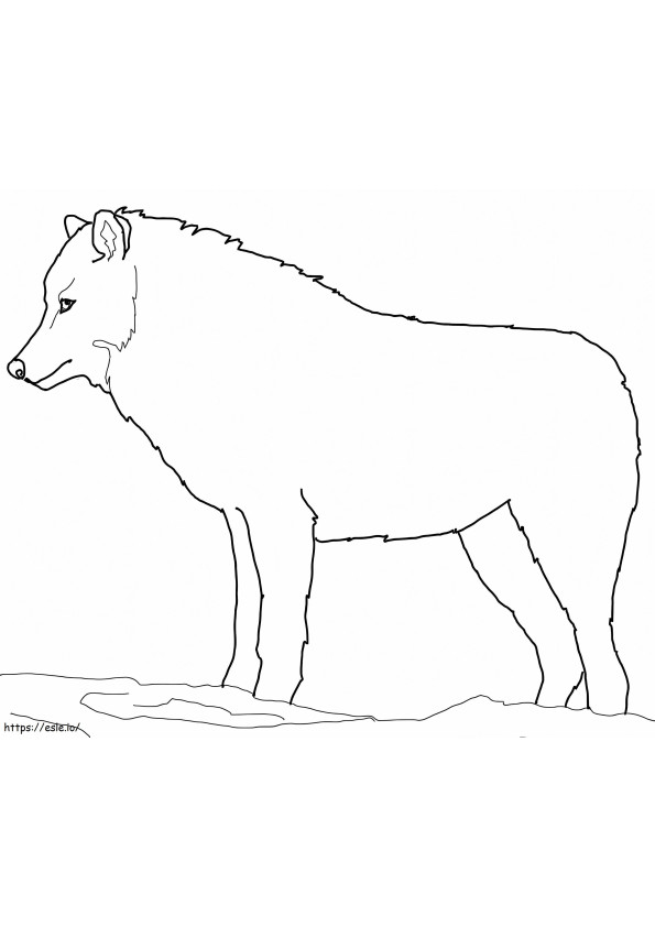 北極オオカミ 1 ぬりえ - 塗り絵